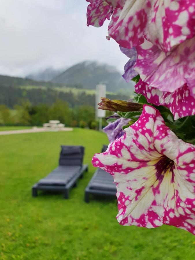 Vive Diem Haus im Ennstal Bagian luar foto